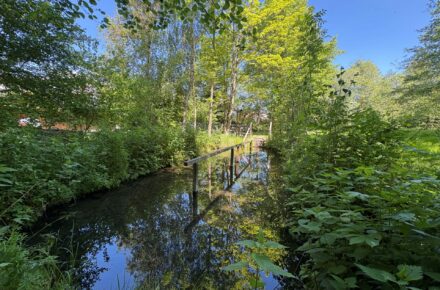 Tipp für heiße Sommertage - kneippen im Kurpark Aspach