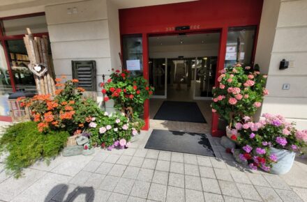 Blütenpracht im Gesundheitsresort Oberzeiring