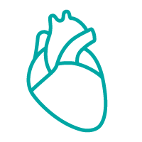 Kardiologie