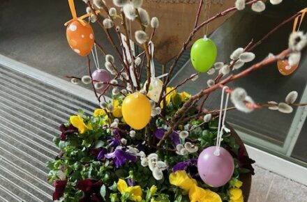 OptimaMed Bad Mitterndorf: Der Frühling zieht ein