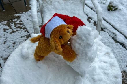 Winterspaß im Garten – Optiwuff baut Schneemänner