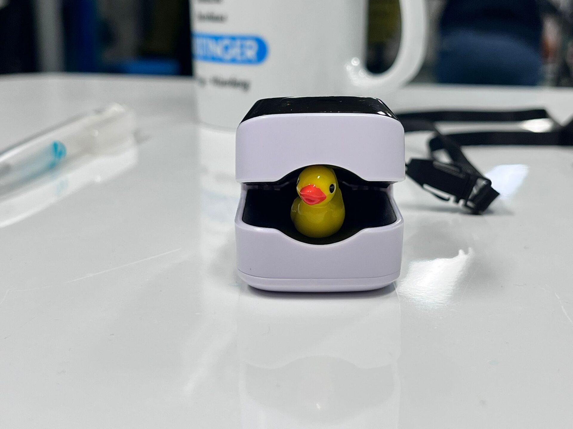 Tag der Badeenten im Rehazentrum Raxblick 2 Tag der Badeenten im Rehazentrum Raxblick 2