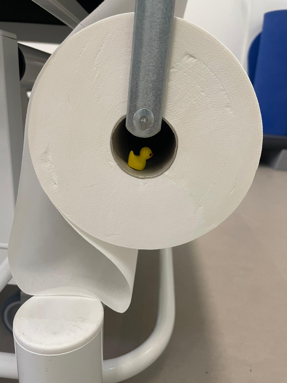 Tag der Badeenten im Rehazentrum Raxblick 3 Tag der Badeenten im Rehazentrum Raxblick 3