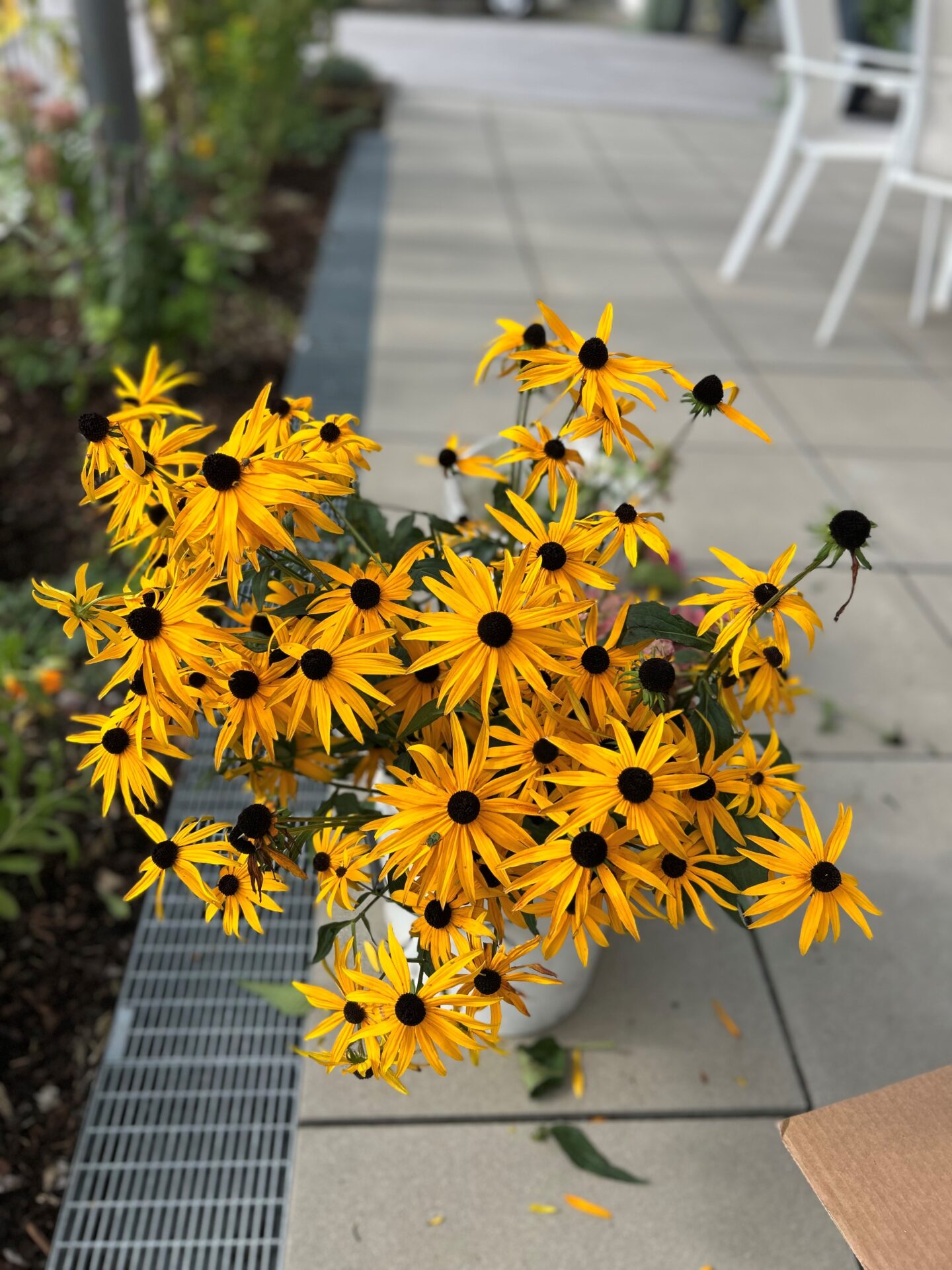 Blumendekoration für den Tag der offenen Tür in Wiesing Blumendekoration für den Tag der offenen Tür in Wiesing