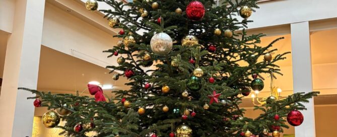 Prächtiger Christbaum bei OptimaMed in Bad St. Leonhard
