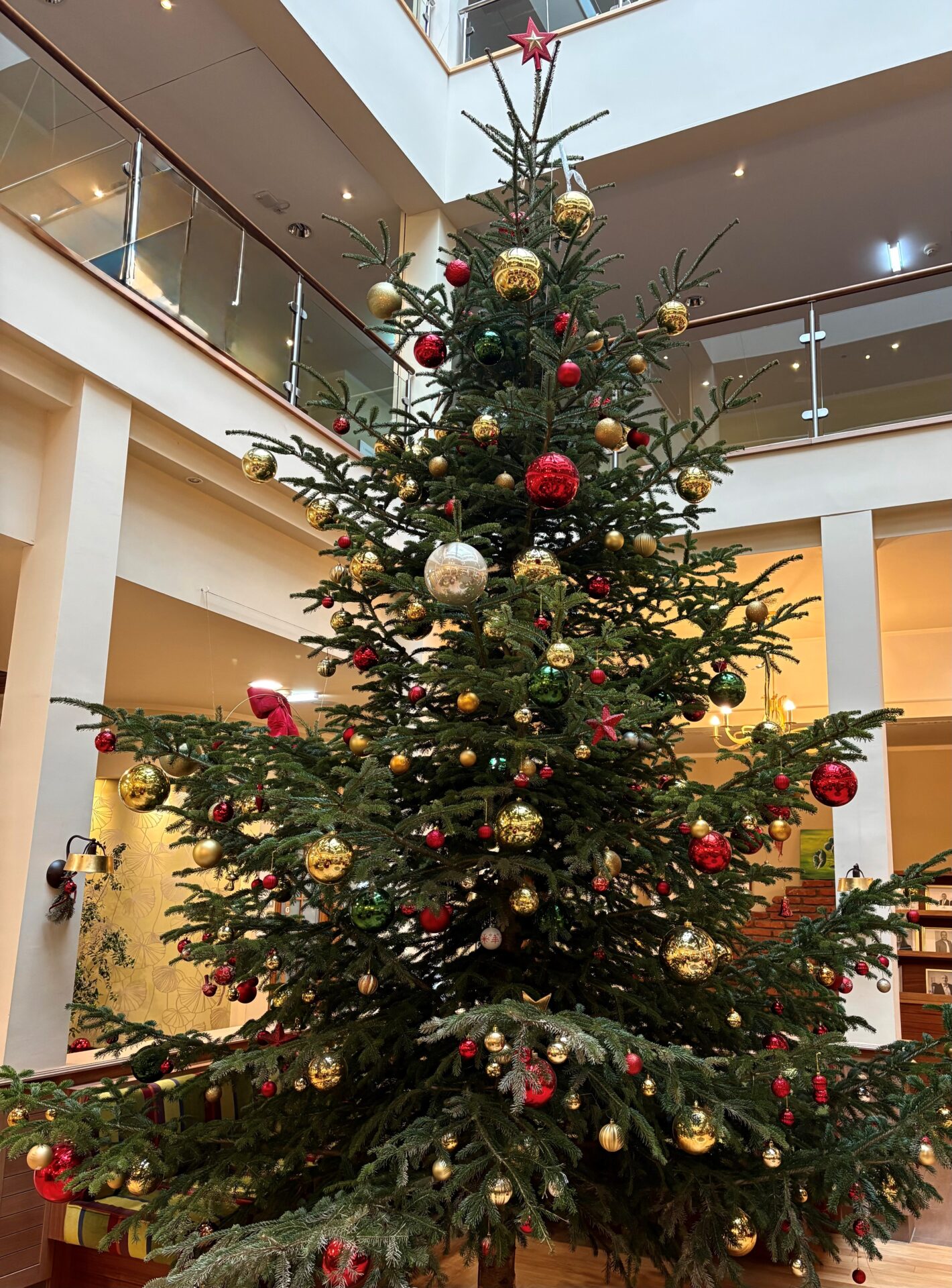 Prächtiger Christbaum bei OptimaMed in Bad St. Leonhard Prächtiger Christbaum bei OptimaMed in Bad St. Leonhard