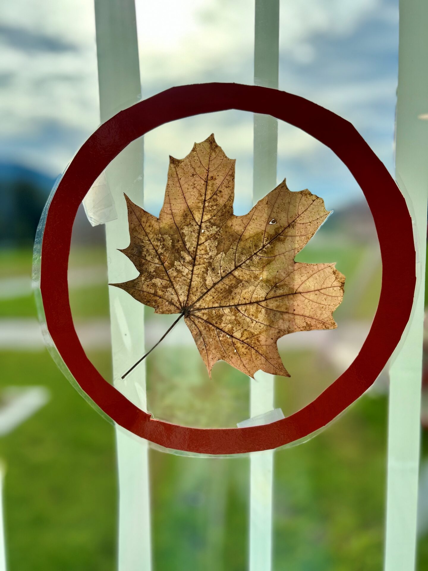 Herbstdekoration in der Kinderreha Herbstdekoration in der Kinderreha