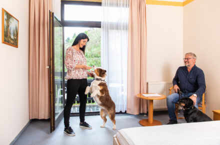 Hund bei Kur oder Urlaub mitnehmen Hund bei Kur oder Urlaub mitnehmen