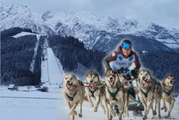 Hundeschlittenrennen in Bad Mitterndorf am Kulm Hundeschlittenrennen in Bad Mitterndorf am Kulm