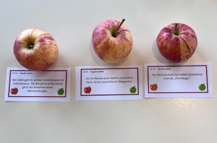 "Tag des Apfels"-Infoveranstaltung im Rehazentrum Raxblick