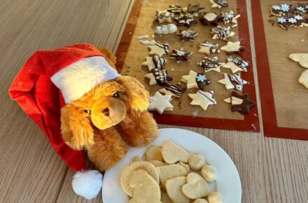 Optiwuff hilft beim Kekse backen in Wiesing
