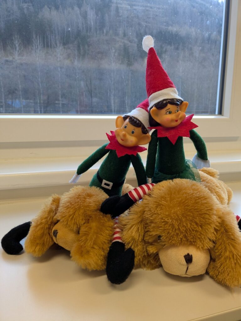 Kinderreha-Maskottchen Optiwuff mit Elfen Kinderreha-Maskottchen Optiwuff mit Elfen