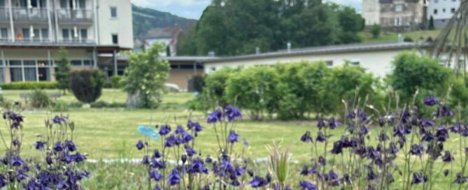 Blühender Kräutergarten bei OptimaMed Bad St. Leonhard