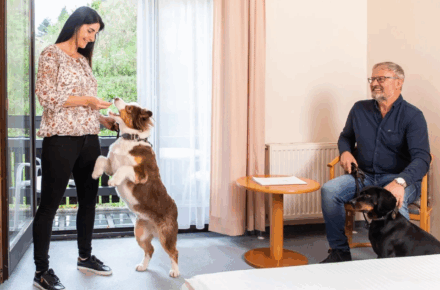 Schlittenhunderennen und hundefreundlicher Aufenthalt im Gesundheitsresort Bad Mitterndorf