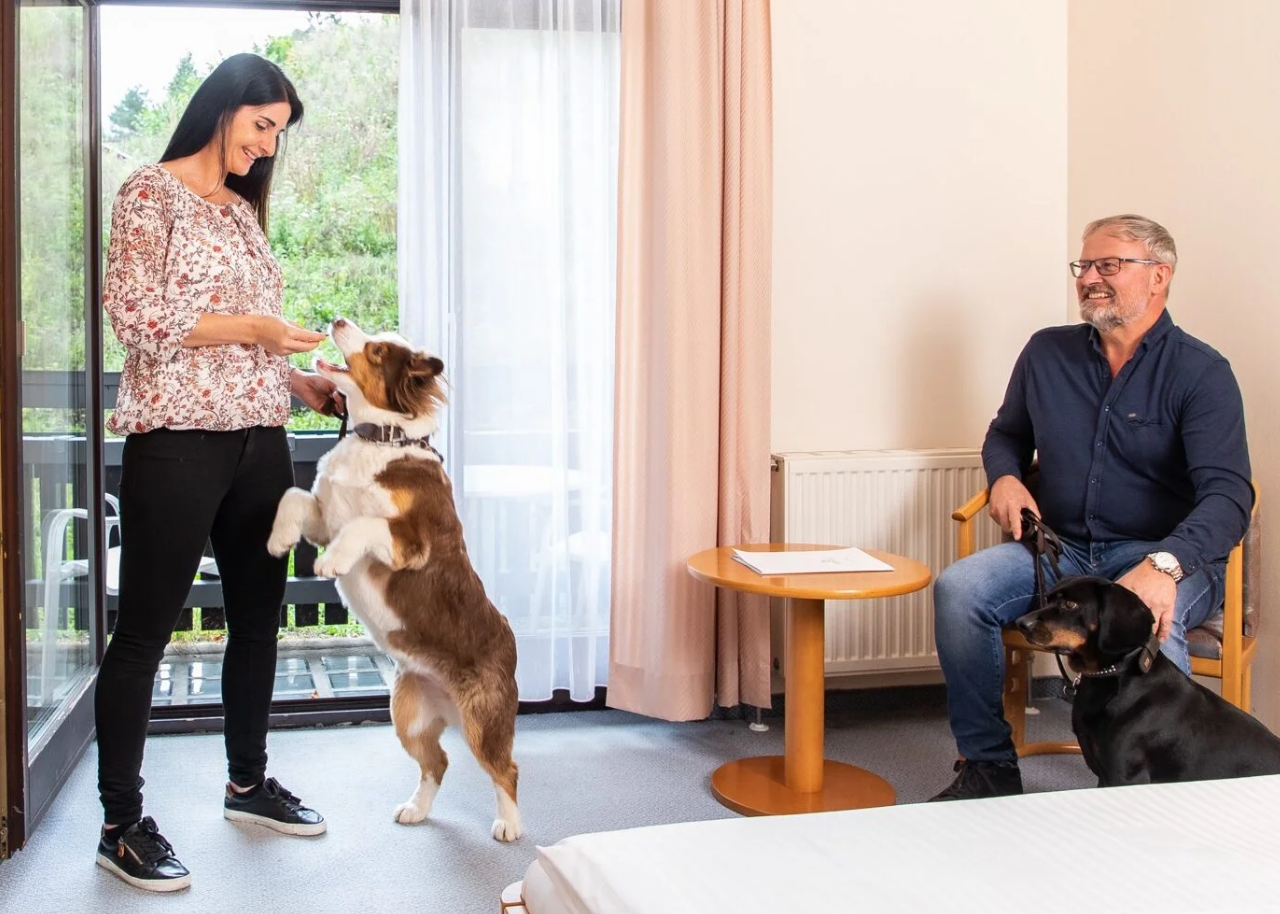 Kur und Gesundheitsurlaub mit Hund in der Steiermark Kur und Gesundheitsurlaub mit Hund in der Steiermark