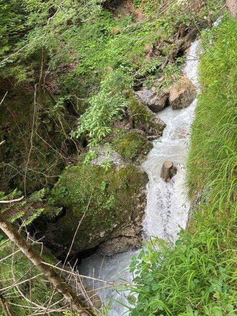 Naturerlebnis beim Sommerprogramm der Kinderreha Naturerlebnis beim Sommerprogramm der Kinderreha