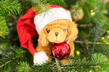 Optiwuff unterstützt beim Schmücken des Christbaums