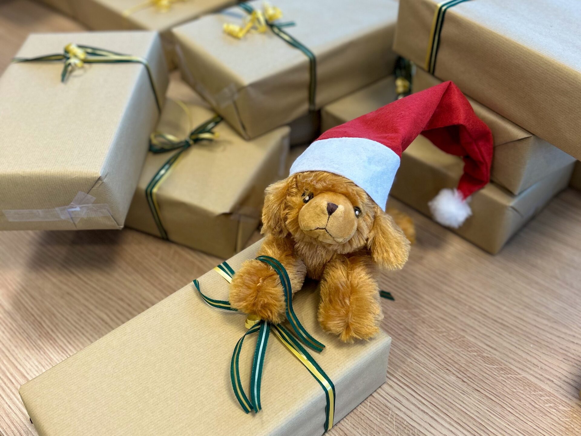 Optiwuff hilft beim Verpacken von Weihnachtsgeschenken Optiwuff hilft beim Verpacken von Weihnachtsgeschenken