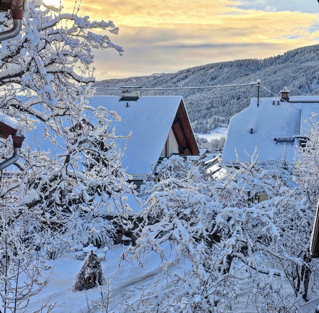 Schneelandschaft in Kärnten