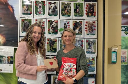 OptimaMed Wildbad: Spendenübergabe an den Landestierschutzverein Kärnten